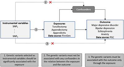 Investigating the shared genetic basis and causal relationships between mucosa-associated lymphoid tissue inflammation and psychiatric disorders